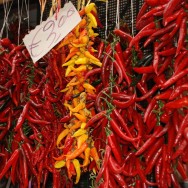 Hot Chilli