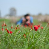Flowers' sniper