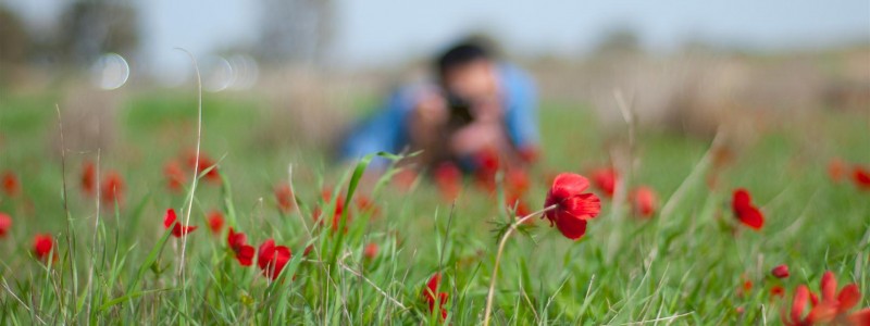 Flowers' sniper