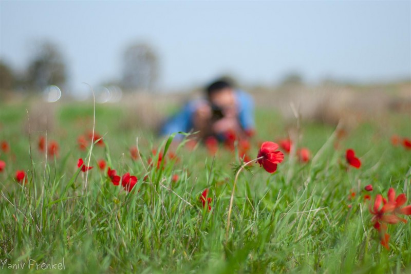 Flowers' sniper