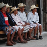 Amigos