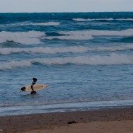 Winter Waves