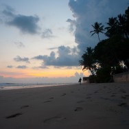wpid1095-Sri_lanka-0579.jpg