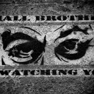 Small Brother is Watching You