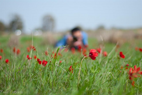 Flowers' sniper