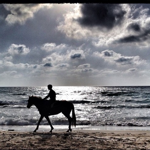 sunset horse riding